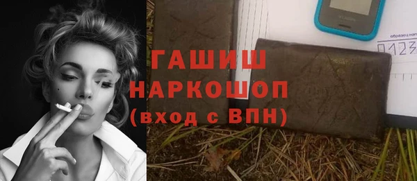 СК Алексин