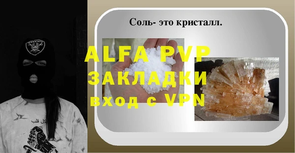 СК Алексин