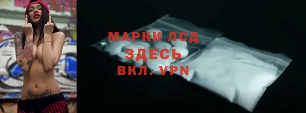 СК Алексин