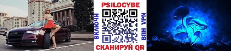 гидра зеркало  Камешково  Галлюциногенные грибы прущие грибы 
